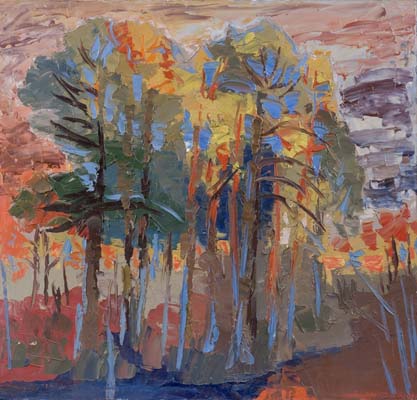 Les pins éclairés par le soleil couchant.