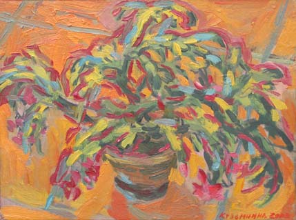 Cactus en fleurs.