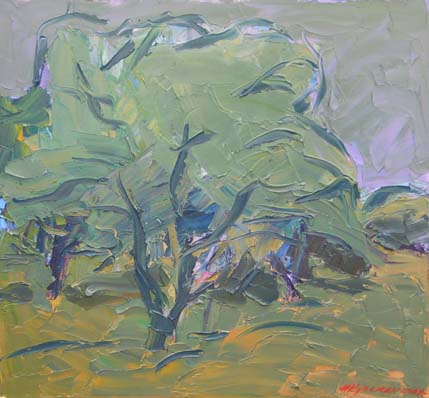 Jardin d'oliviers à Lumbarda. Korčula.