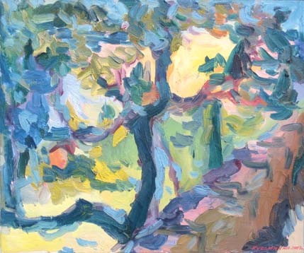 Un arbre au lever du soleil. Théoule-sur-Mer.