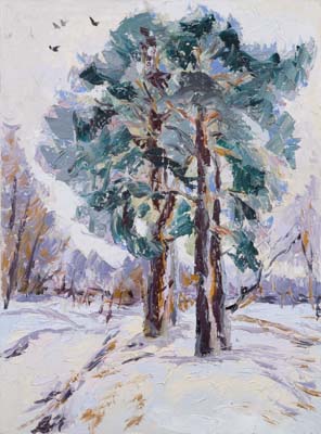 Pins par une journée d'hiver.