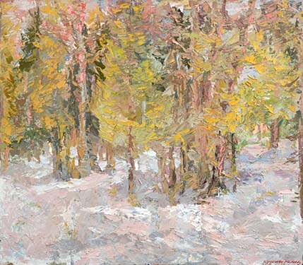 Journée de mars dans les bois. Rassoudovo. Journée de mars dans les bois. Rassoudovo.